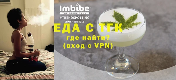 индика Гусев