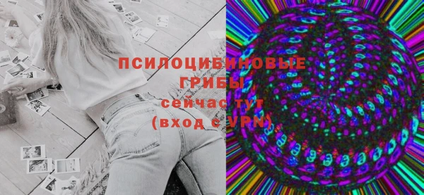 гашик Белоозёрский