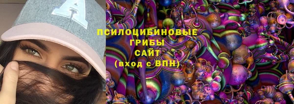 гашик Белоозёрский