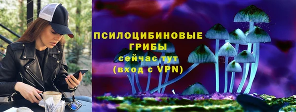гашик Белоозёрский
